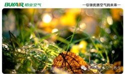步入秋天，空氣凈化器不可或缺