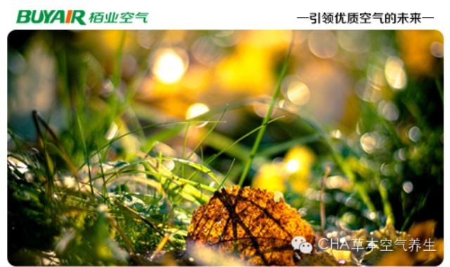 步入秋天，空氣凈化器不可或缺